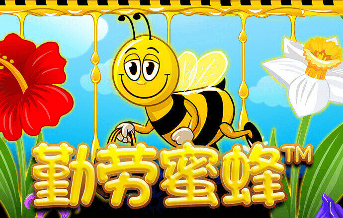 三亿体育入口